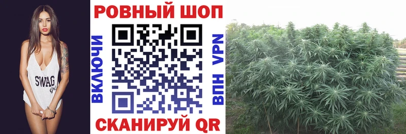 Наркошоп купить ГАШ  А ПВП  Codein  Бошки Шишки  МЕФ  Тамбов