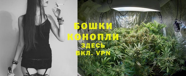 гидра Михайловка